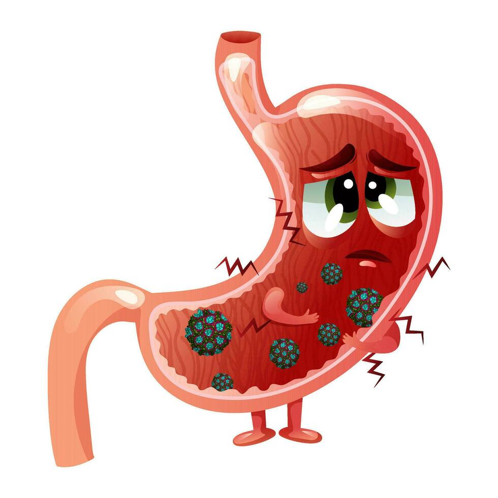 Sick sad stomach cartoon character with noroviruses vector