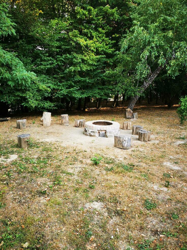 Photo of a cozy fire pit surrounded by a beautiful forest landscape