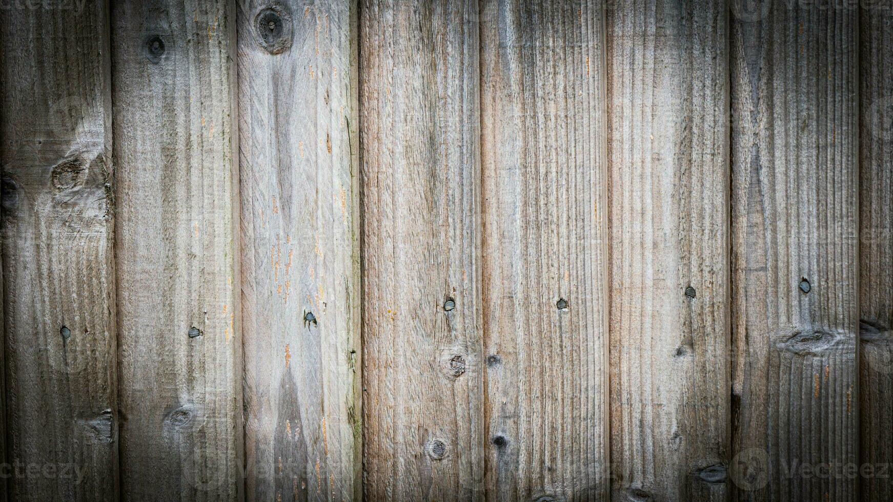 Natural Wood Grain Texture Background photo