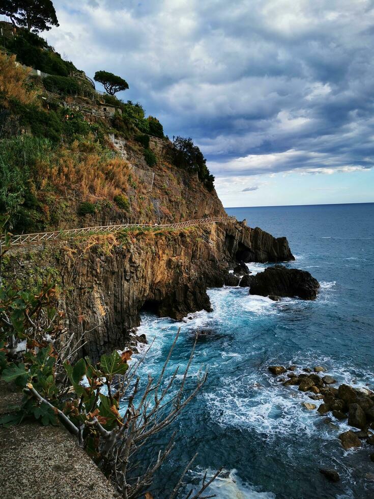 Photo of a train traveling along the coastline with the beautiful ocean as the backdrop