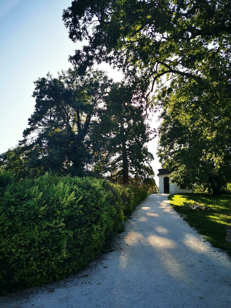 Photo of a serene pathway surrounded by lush greenery in a beautiful park