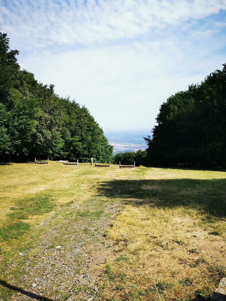 Photo of a peaceful park in the summertime