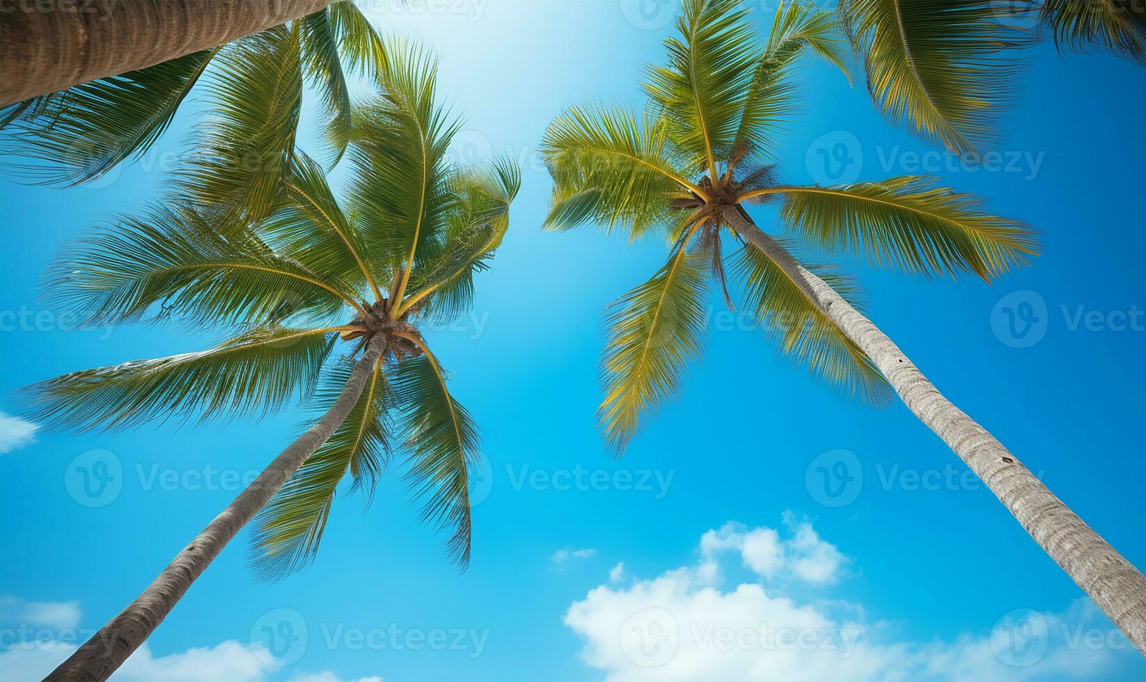 Looking up at palm trees swaying against a brilliant blue sky. AI Generated photo