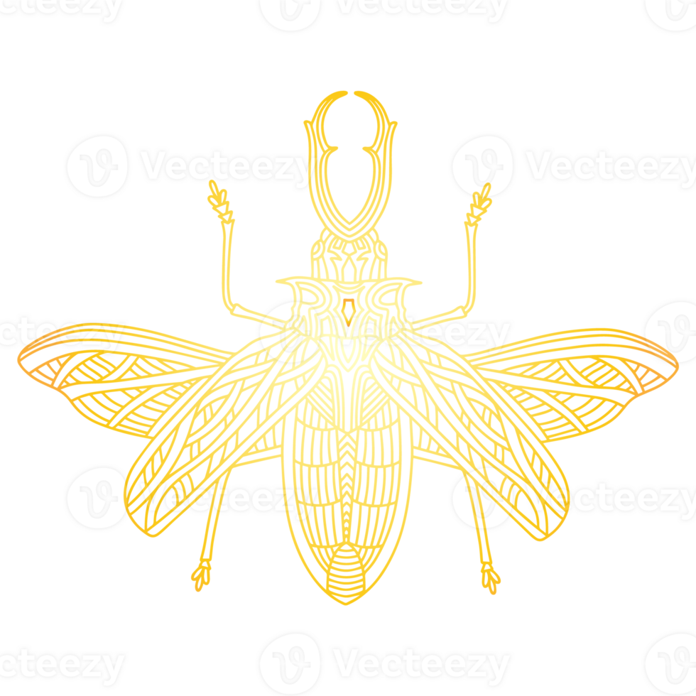 Golden beetle. Golden bug png