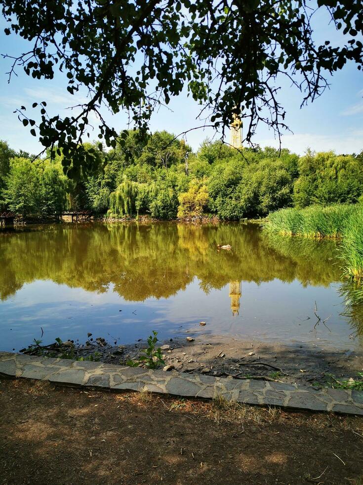 Photo of a serene lake nestled in a lush forest