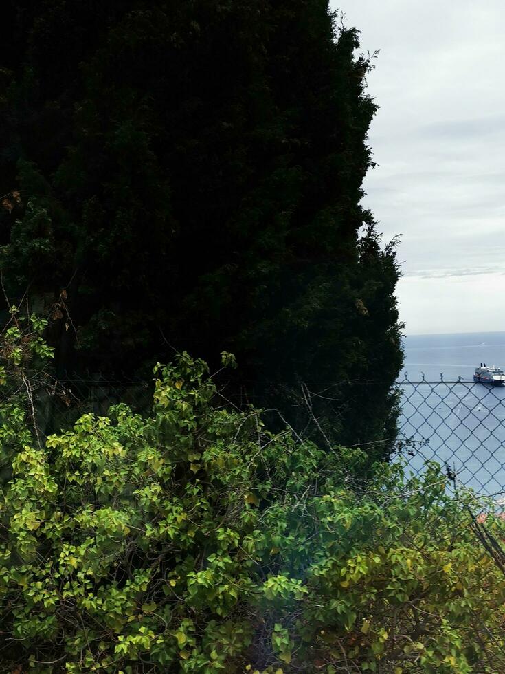 Photo of a boat behind a chain link fence by the water