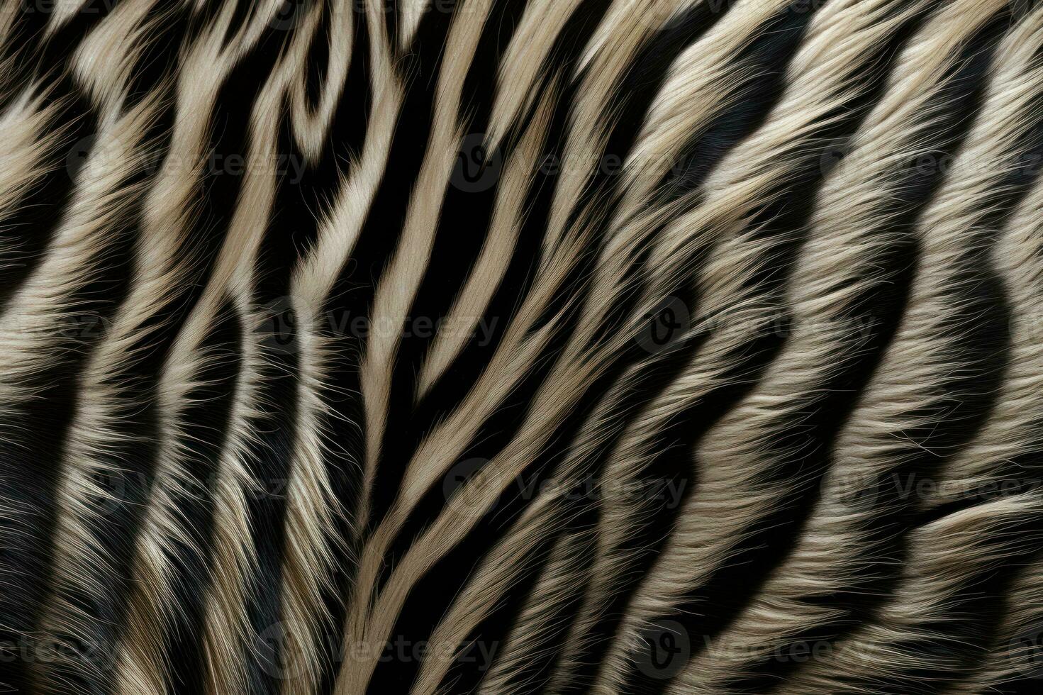 Zebra fur texture. Striped black cream fluffy zebra fur. Close-up. Copy space. Soft cozy wool. Warm blanket, carpet, rug, bedspread. Template. Print, backdrop, textile, cover, notebook, AI generated photo