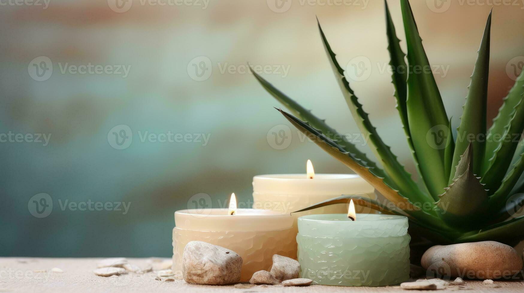 Spa concept. Candles on a blurred background. Decor from natural stems of aloe photo