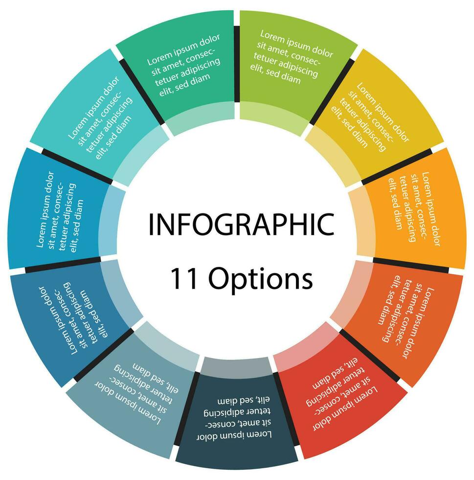 11 point Infographic, circl infographic vector
