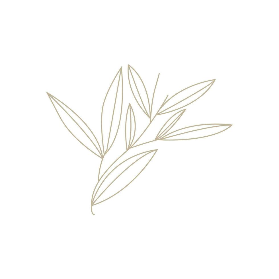 Minimalist Feminine Botanical Flower Beauty Line Plant Logo, Design Vector illustration