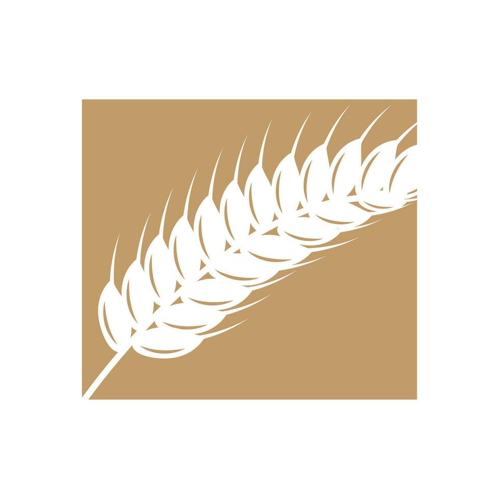 Wheat Logo Grain Design Simple Illustration Template vector