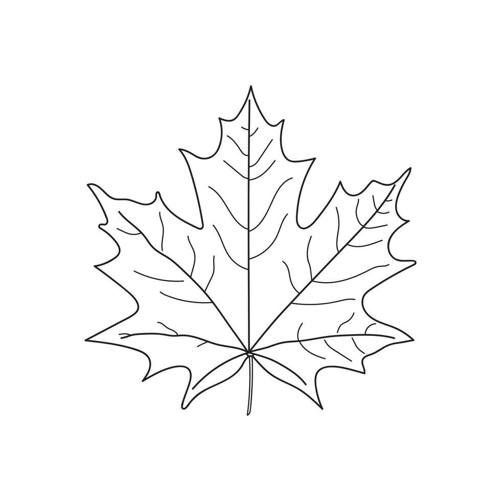 Hand drawn Kids drawing Cartoon Vector illustration maple leaf Isolated on White Background