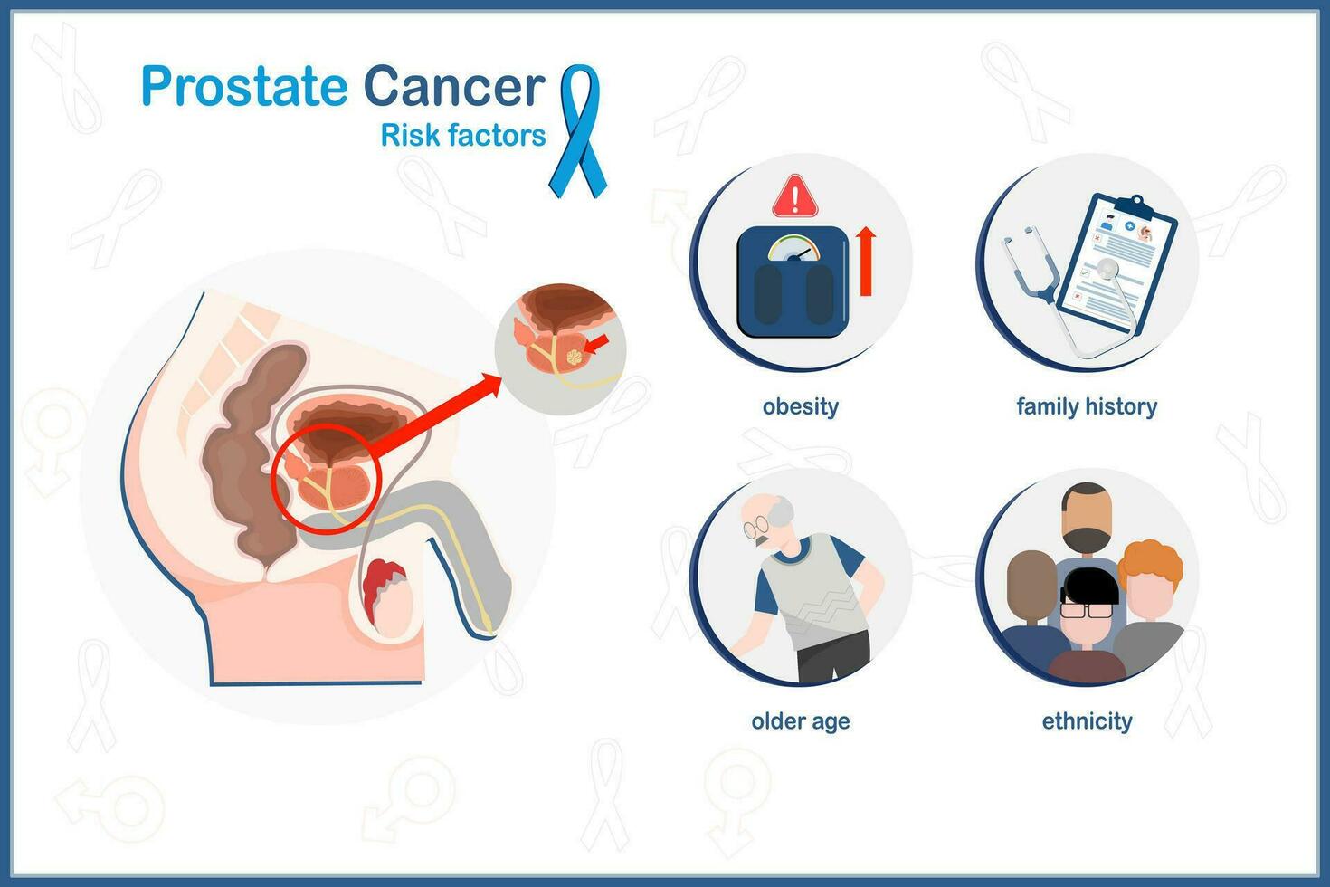 Vector medical illustration in flat style, concept of prostate cancer, prostate cancer risk factors, including elderly, ethnicity, family history,obesity.isolated on white background.