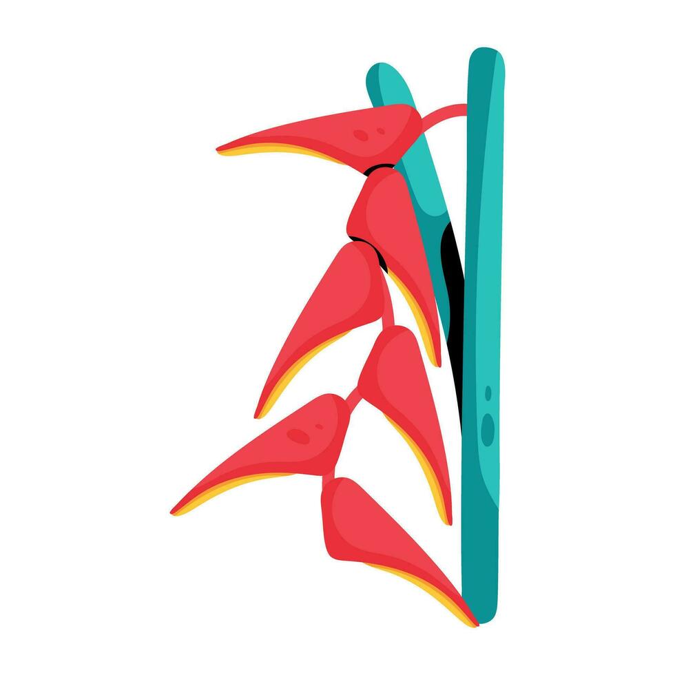 Trendy Heliconia Plant vector