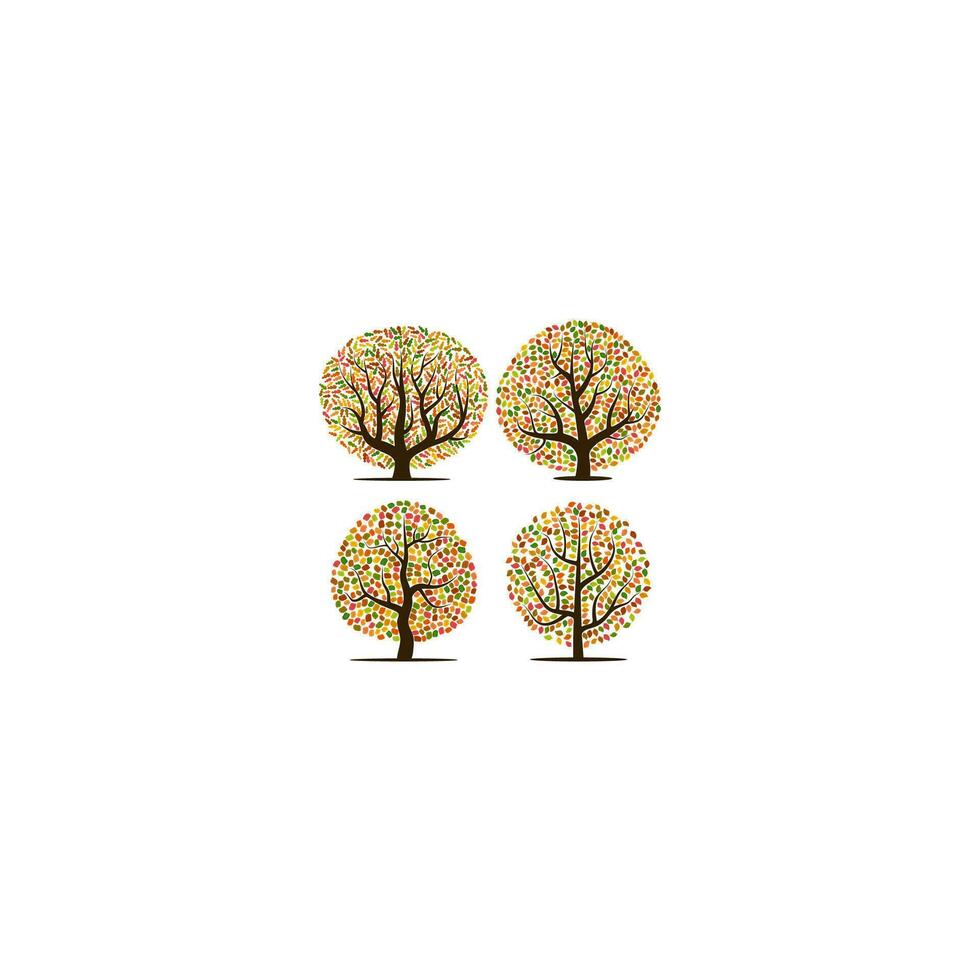 Set of four autumn trees with yellow, orange, brown and green leaves. Vector illustration