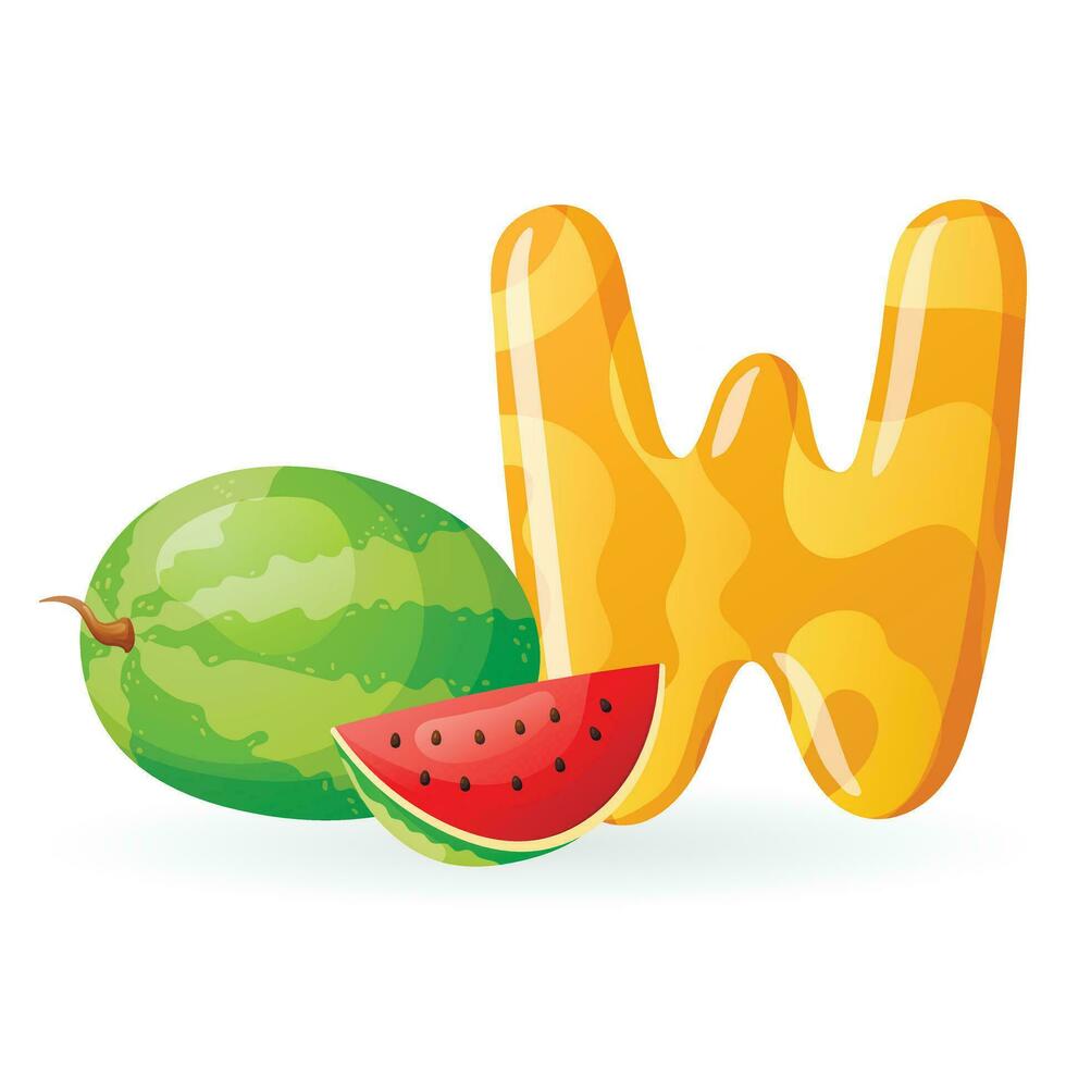 Kids banner with english alphabet letter W and cartoon image of ripe juicy berry of watermelon. vector