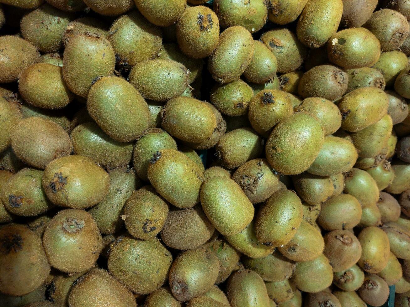 el tierra tesoros, kiwis Primer plano, kiwi Fruta en el mercado, un pila de todo kiwi frutas en el mostrador en el supermercado como fondo, textura, marrón kiwi frutas apilado en pila, kiwi Fruta antecedentes foto