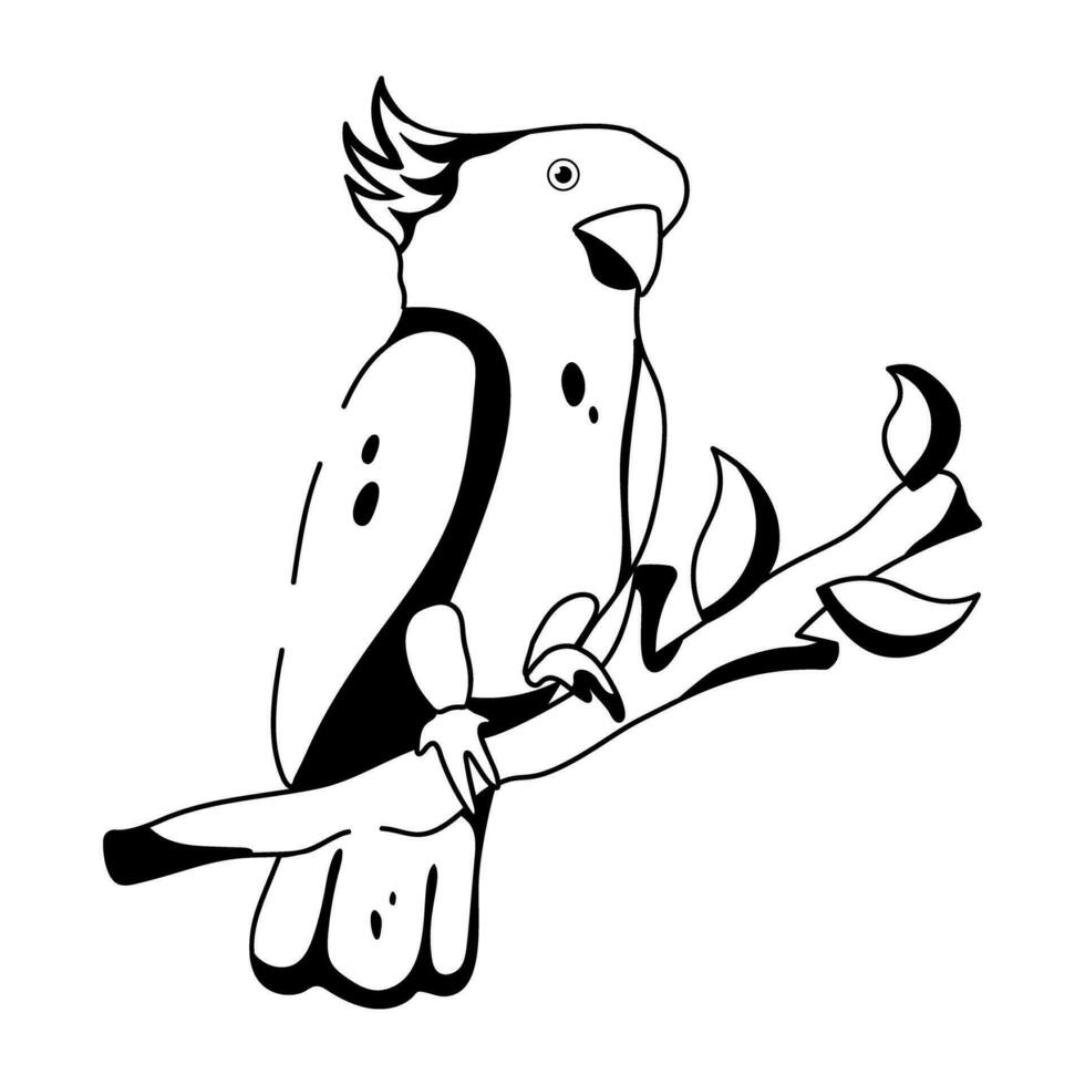 Trendy Cockatoo Concepts vector