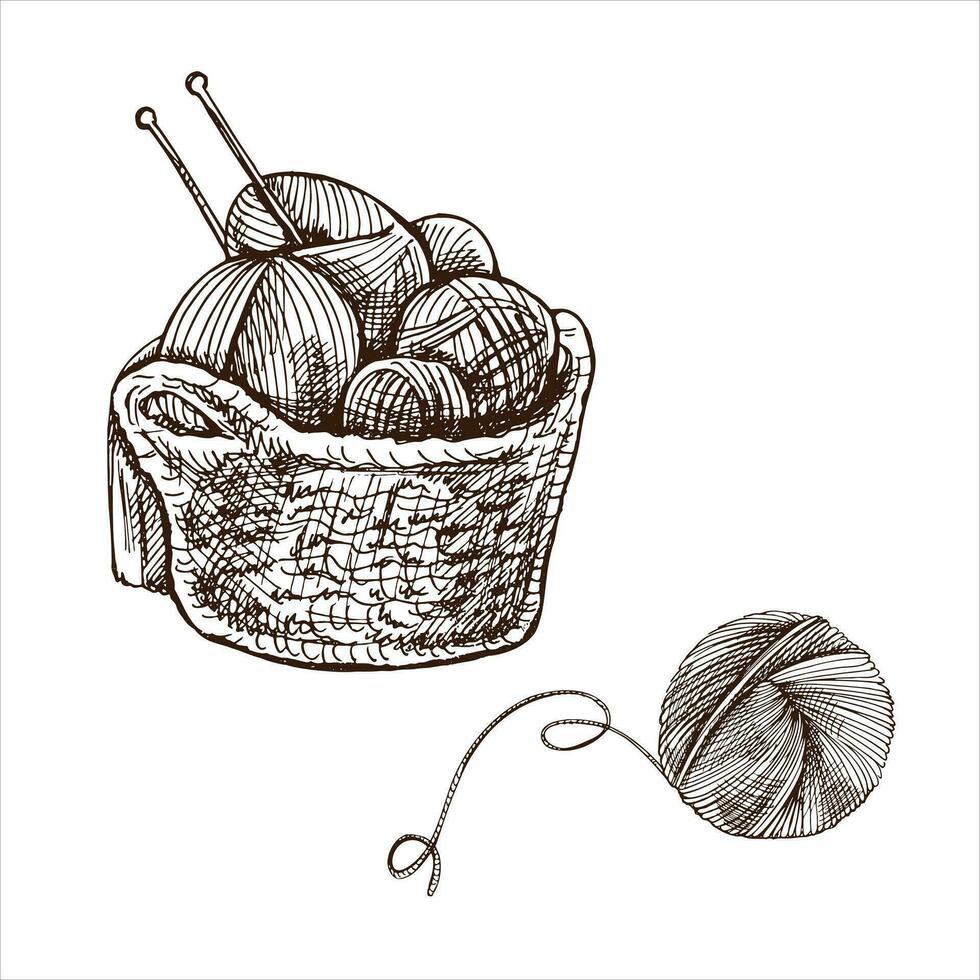 Hand-drawn sketch of basket with balls of yarn, wool and knitting needles. Knitwear, handmade, knitting equipment concept in vintage doodle style. Engraving style. vector