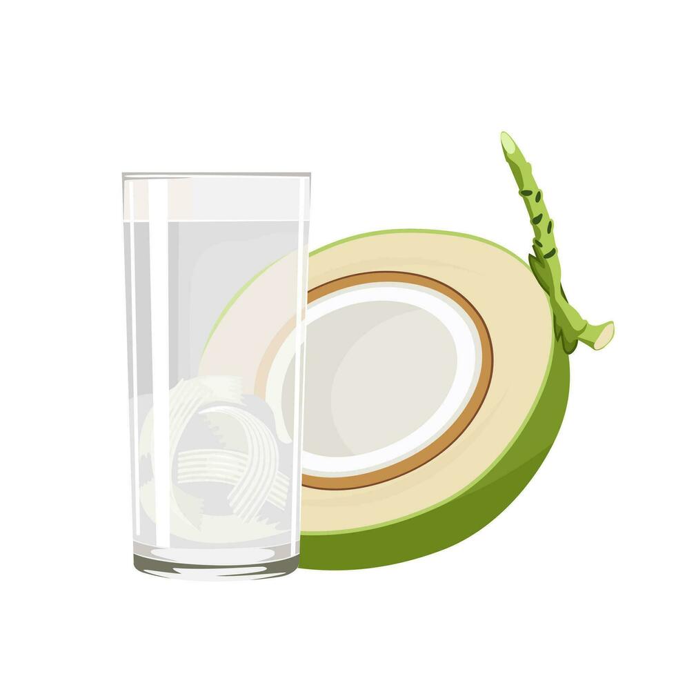 Vector illustration, young coconut juice in a glass, with half a young coconut, isolated on white background.