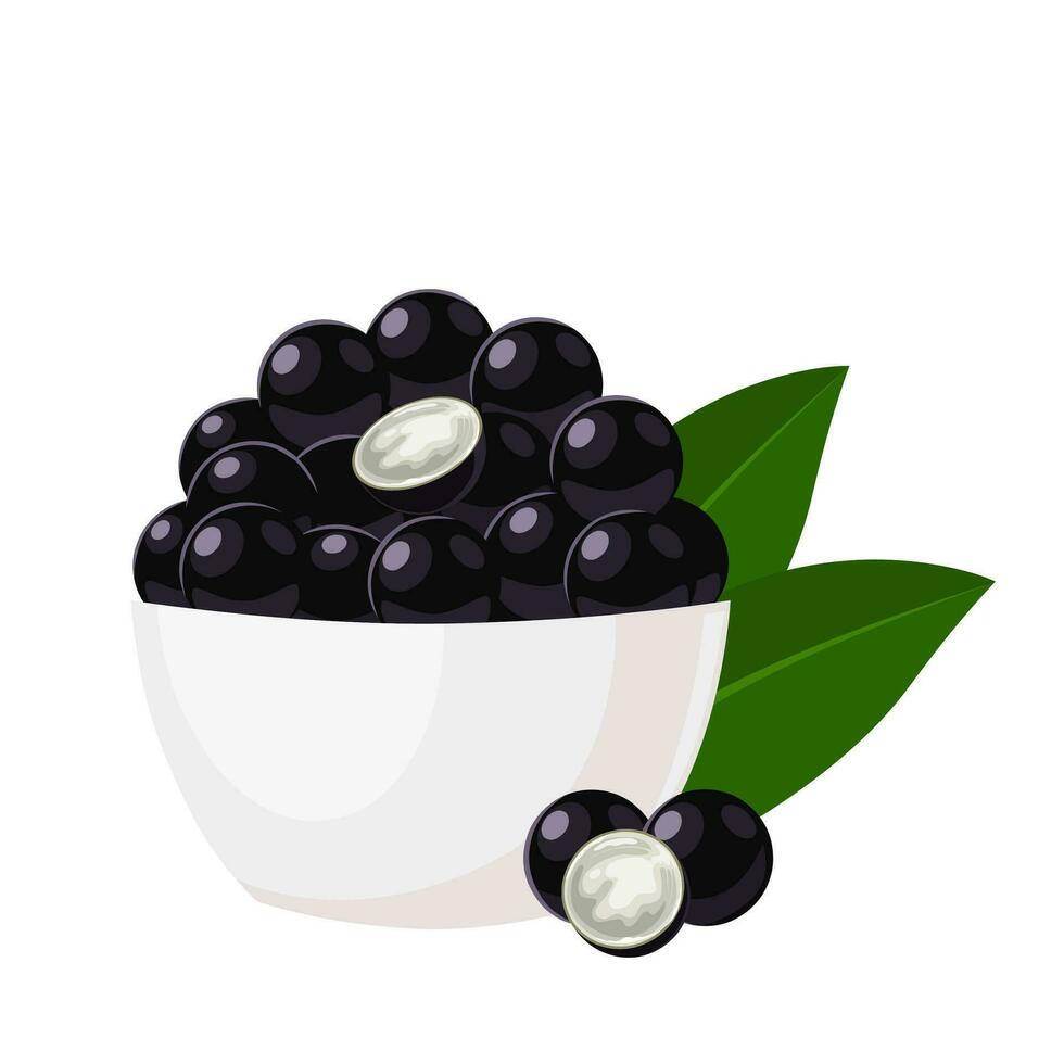 vector ilustración, jaboticaba todo y cortar, dentro un blanco bol, brasileño fruta, científico nombre plinia coliflora, brasileño uva, aislado en blanco antecedentes.