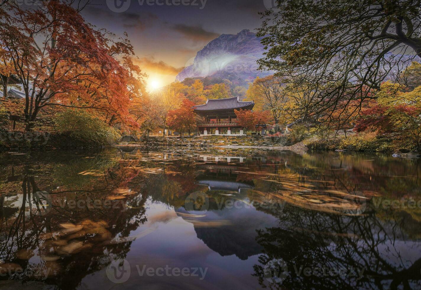 Colorful autumn with beautiful maple leaf in sunset at Baekyangsa temple in Naejangsan national park, South Korea. photo