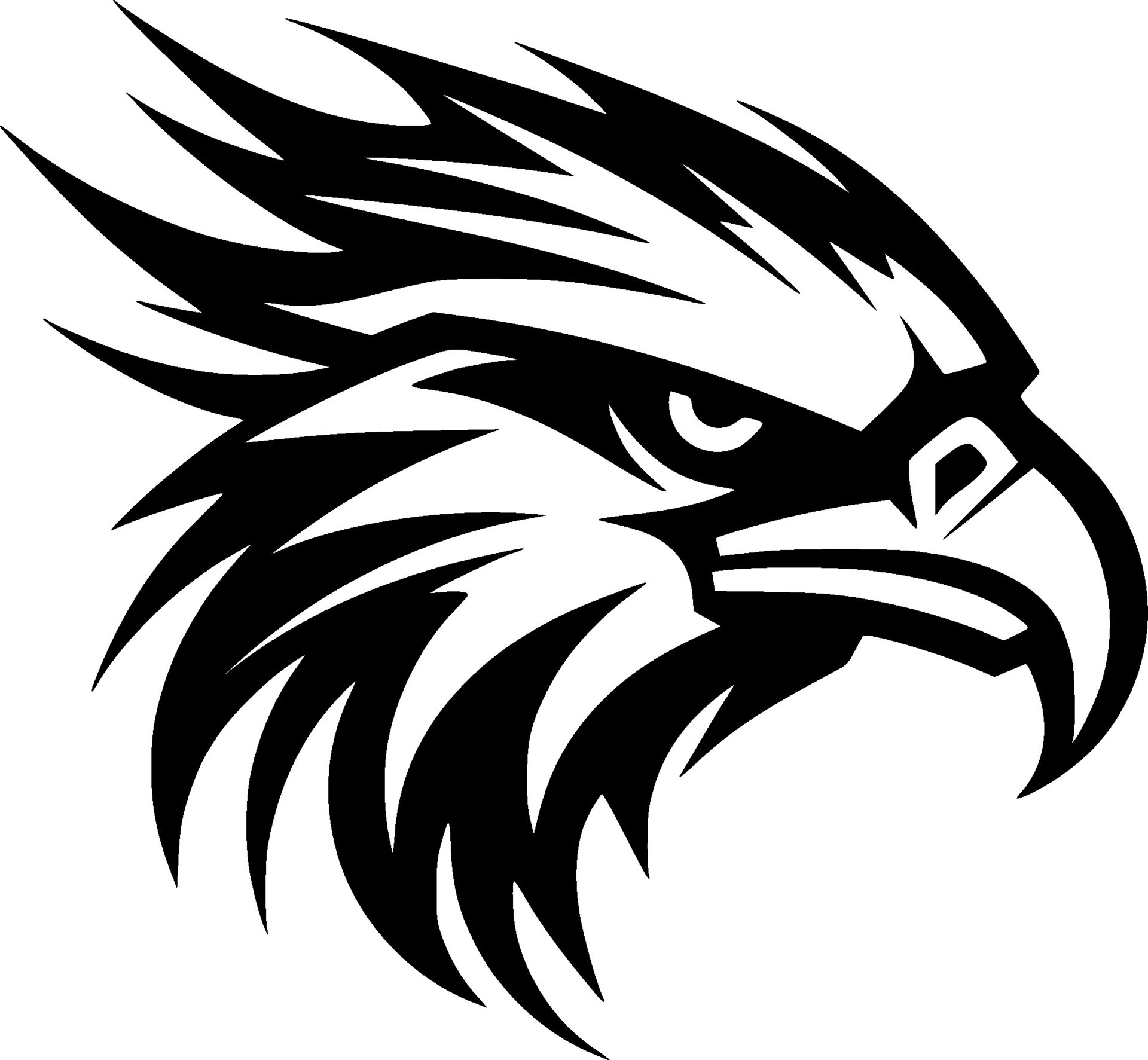 Eagle, Black and White Vector illustration 31701045 Vector Art at Vecteezy