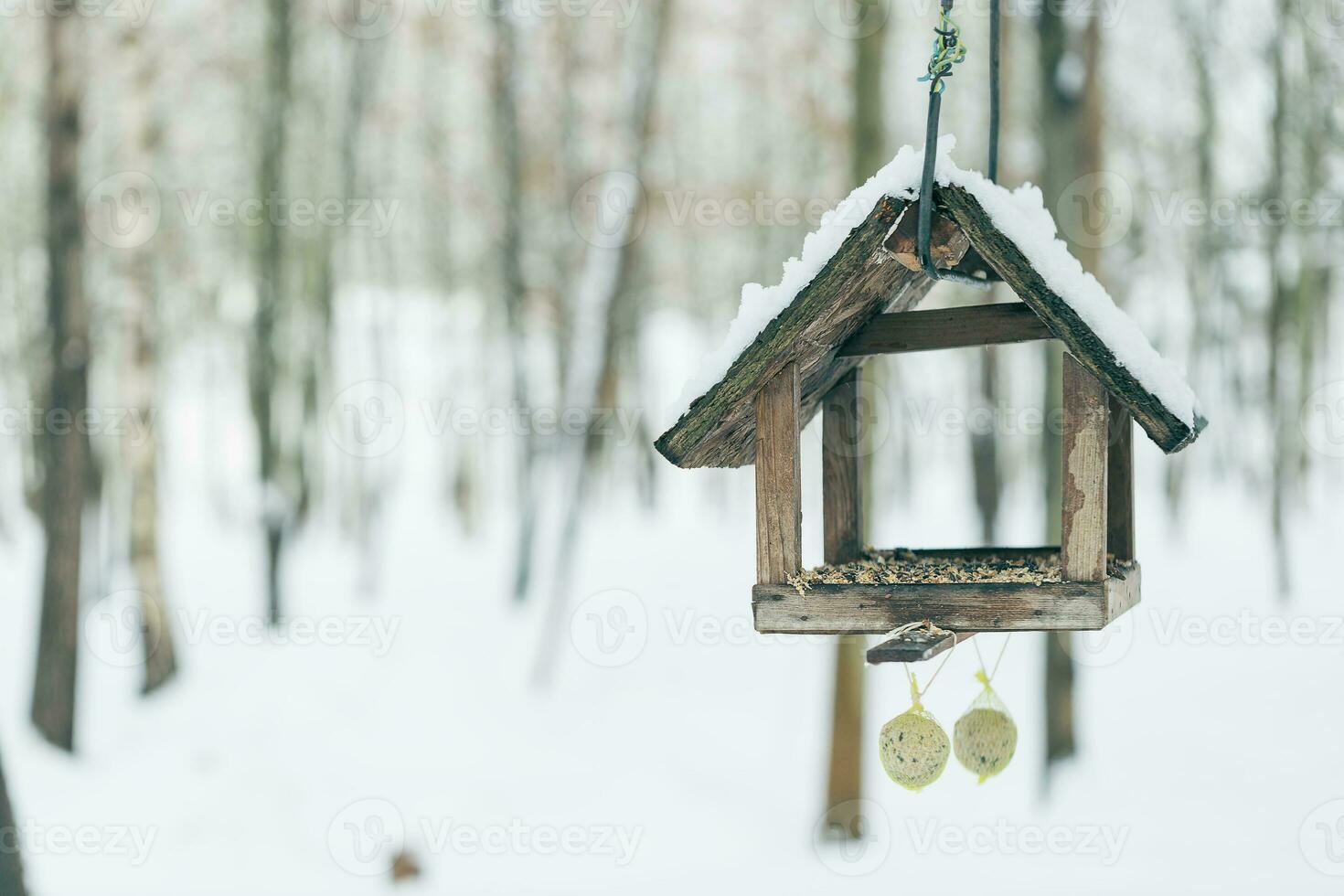 pajarera y pájaro alimentador en invierno parque foto