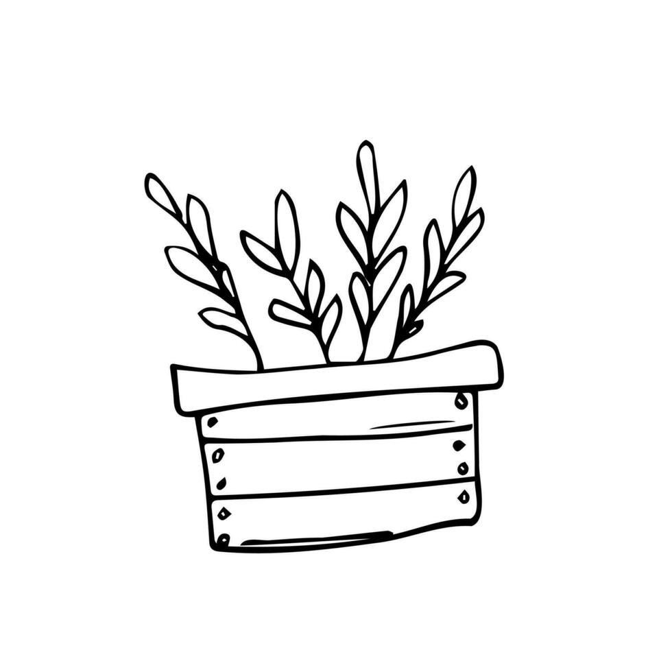 Wooden box with growing plants. Planting process. Home gardening, horticulture care for the environment concept. Vector illustration in cartoon style. Isolated on white background.