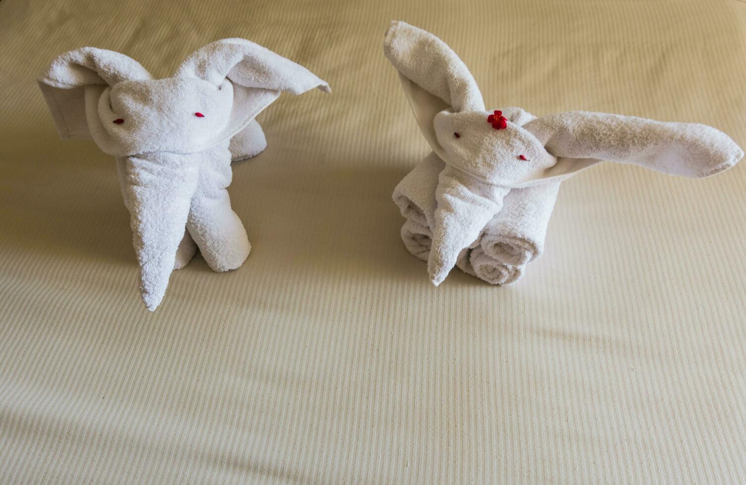 two elephants mado out of white towels on a bed from a hotel room in egpyt from above photo