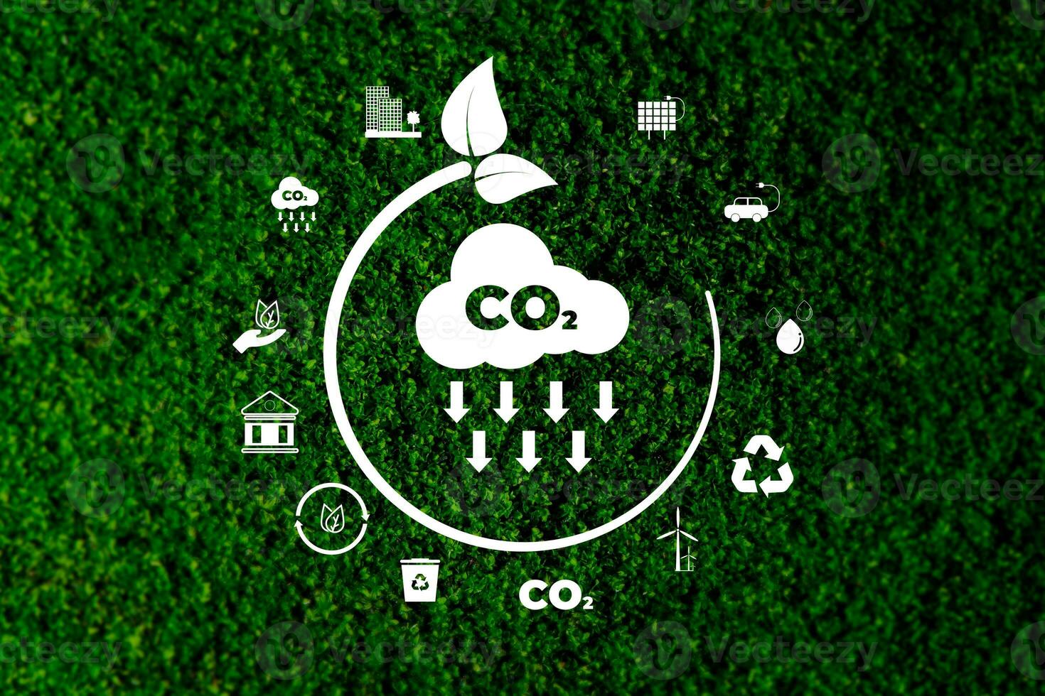 Sustainable business with the planet through renewable energy and green CO2 emissions, whereby using renewable energy can limit climate change and global warming. photo