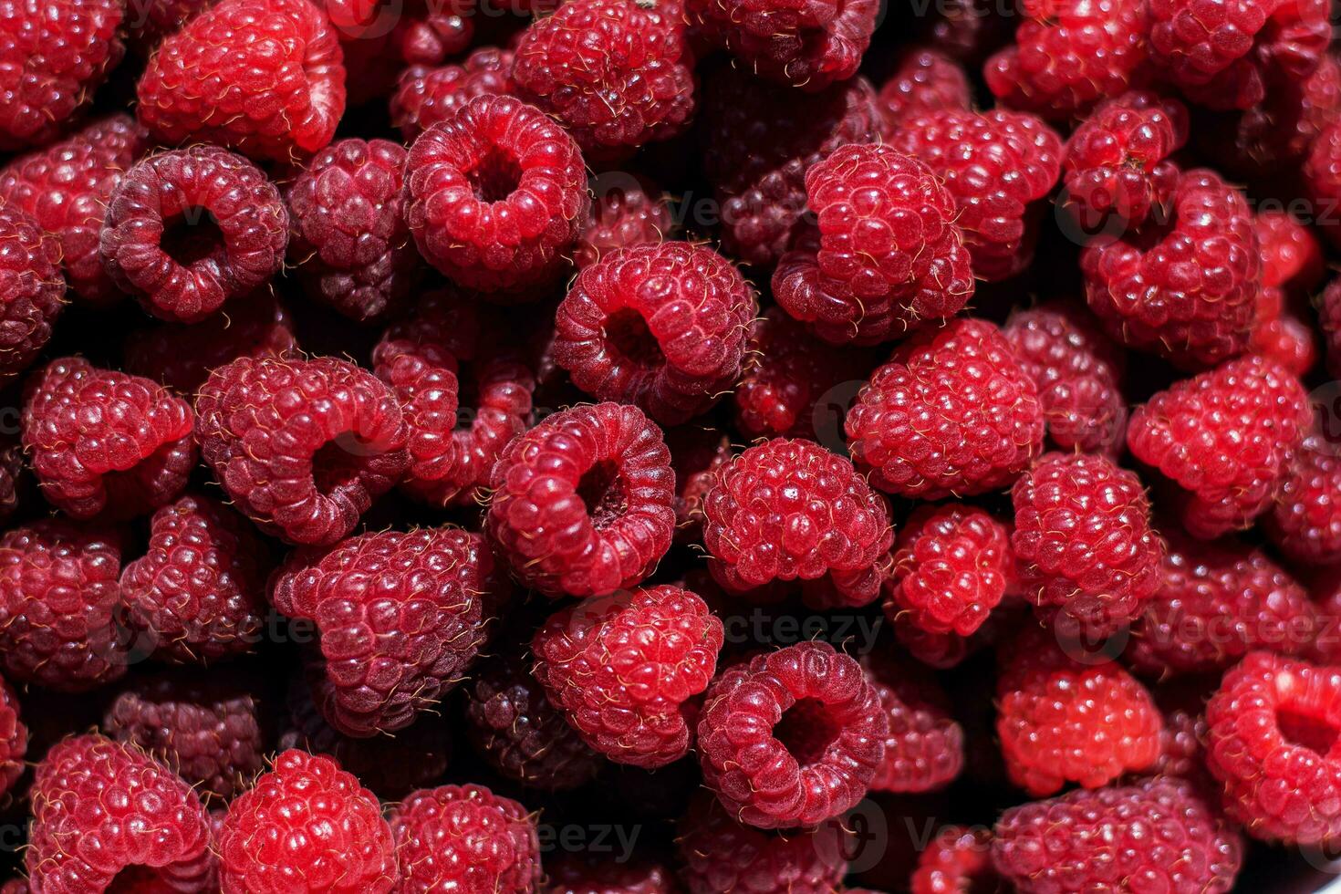 delicious red raspberry background texture photo