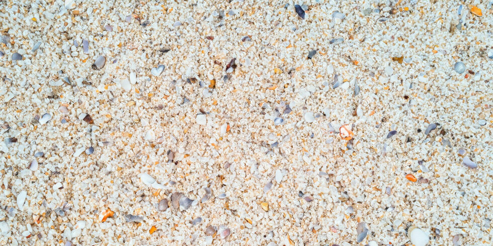 A bird eye view of the sand beach background with shells and starfish scattered on the left and right sides of the picture photo