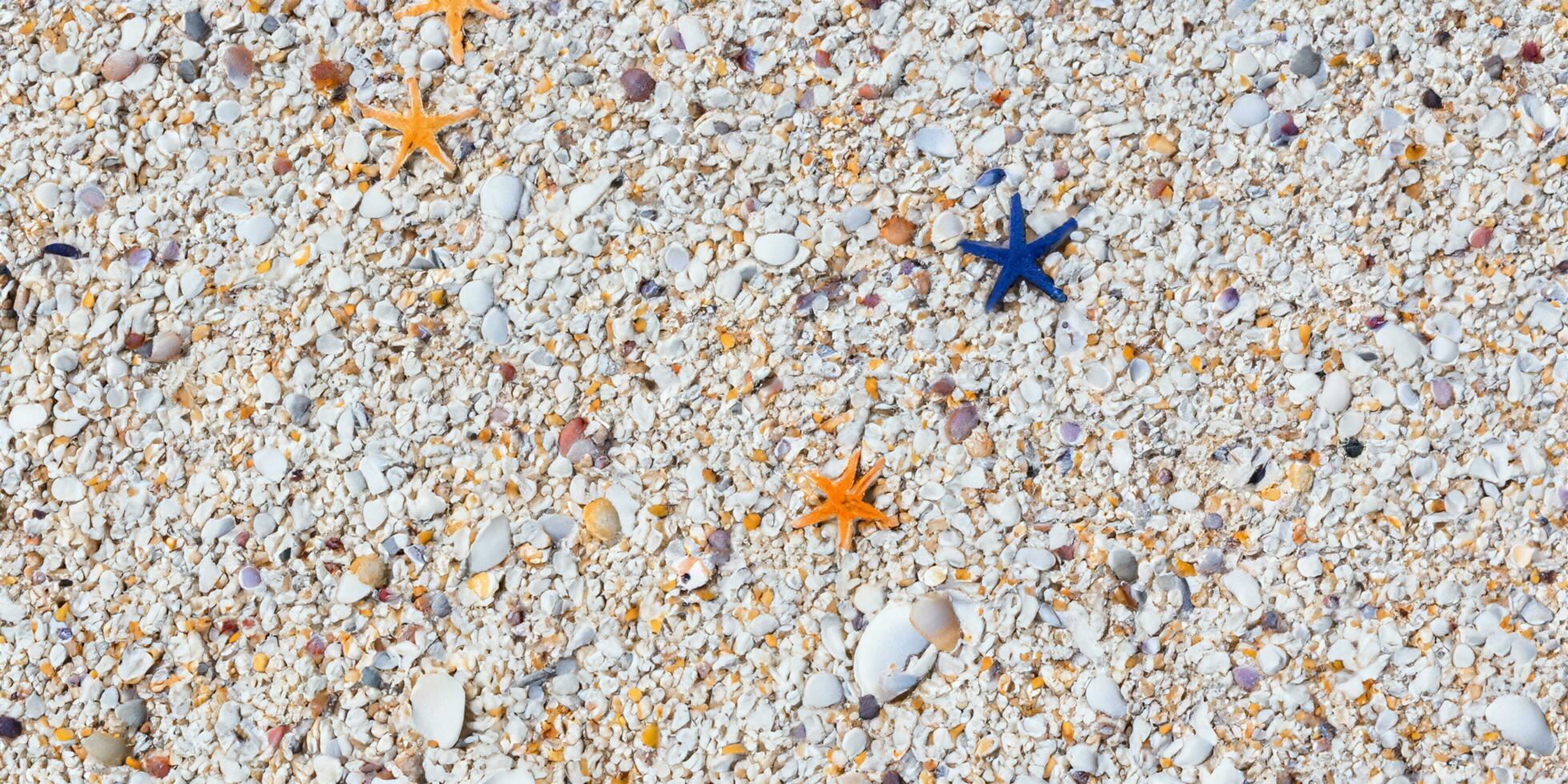 A bird eye view of the sand beach background with shells and starfish scattered on the left and right sides of the picture photo