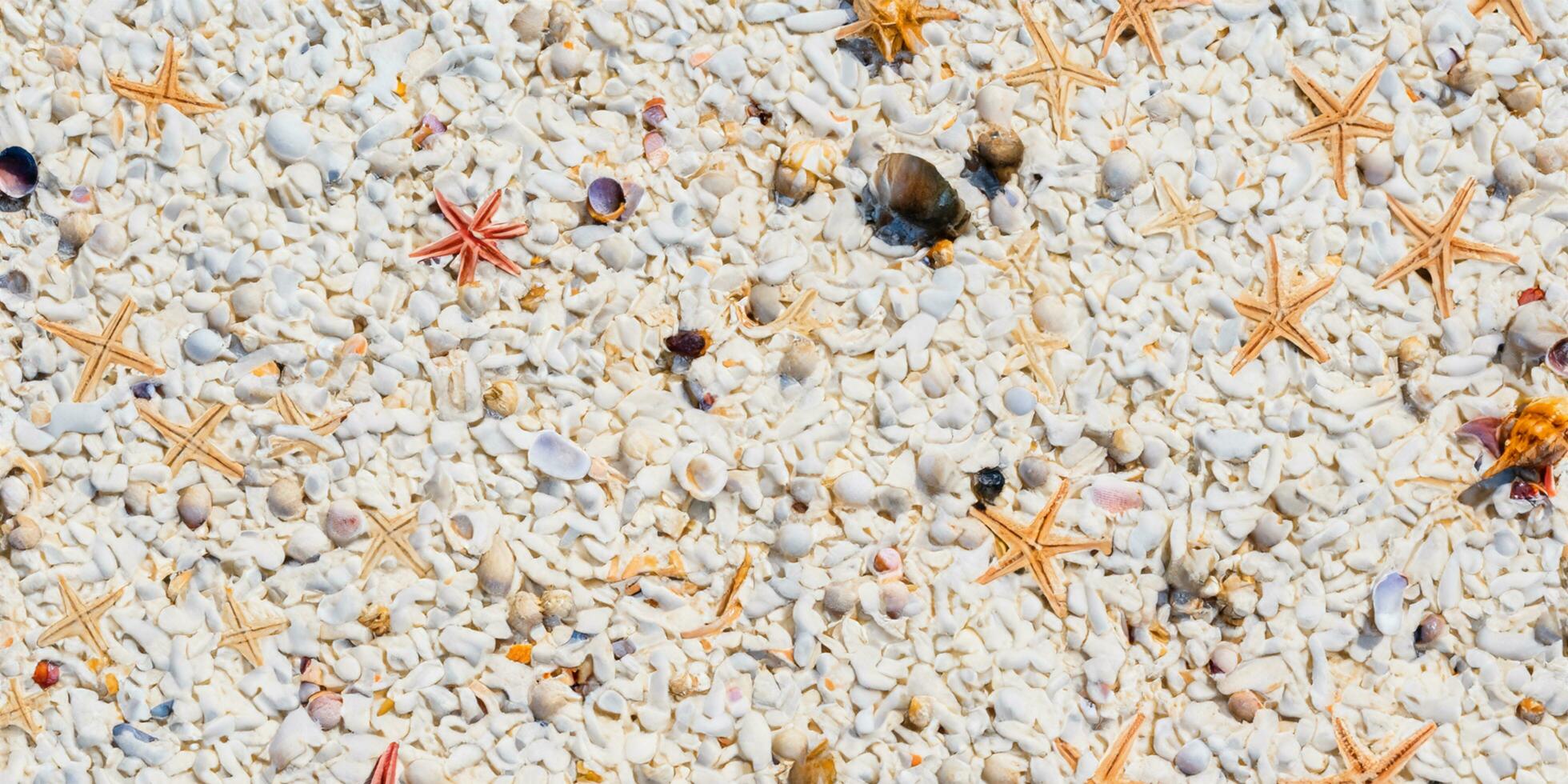 A bird eye view of the sand beach background with shells and starfish scattered on the left and right sides of the picture photo