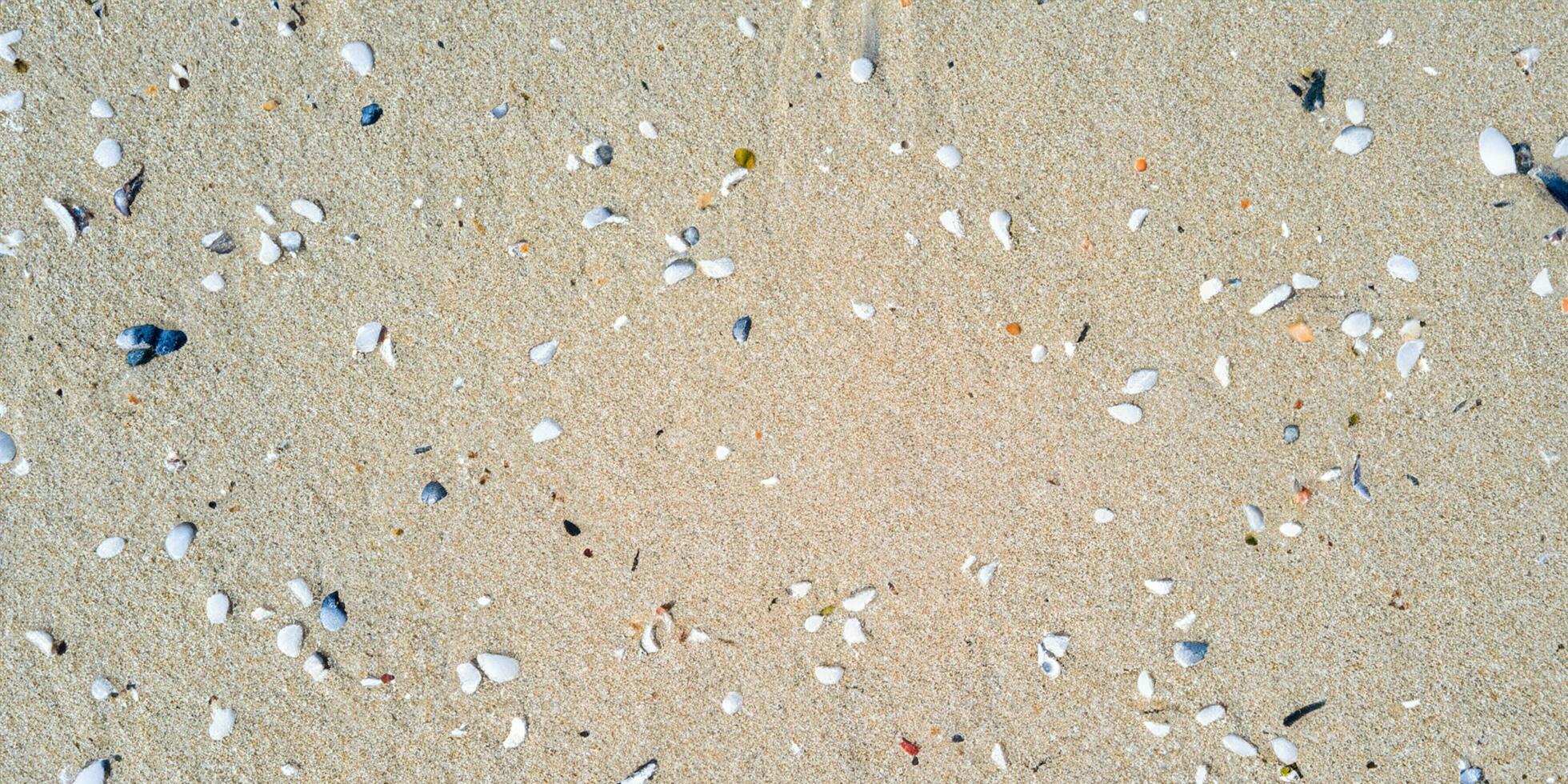 A bird eye view of the sand beach background with shells and starfish scattered on the left and right sides of the picture photo