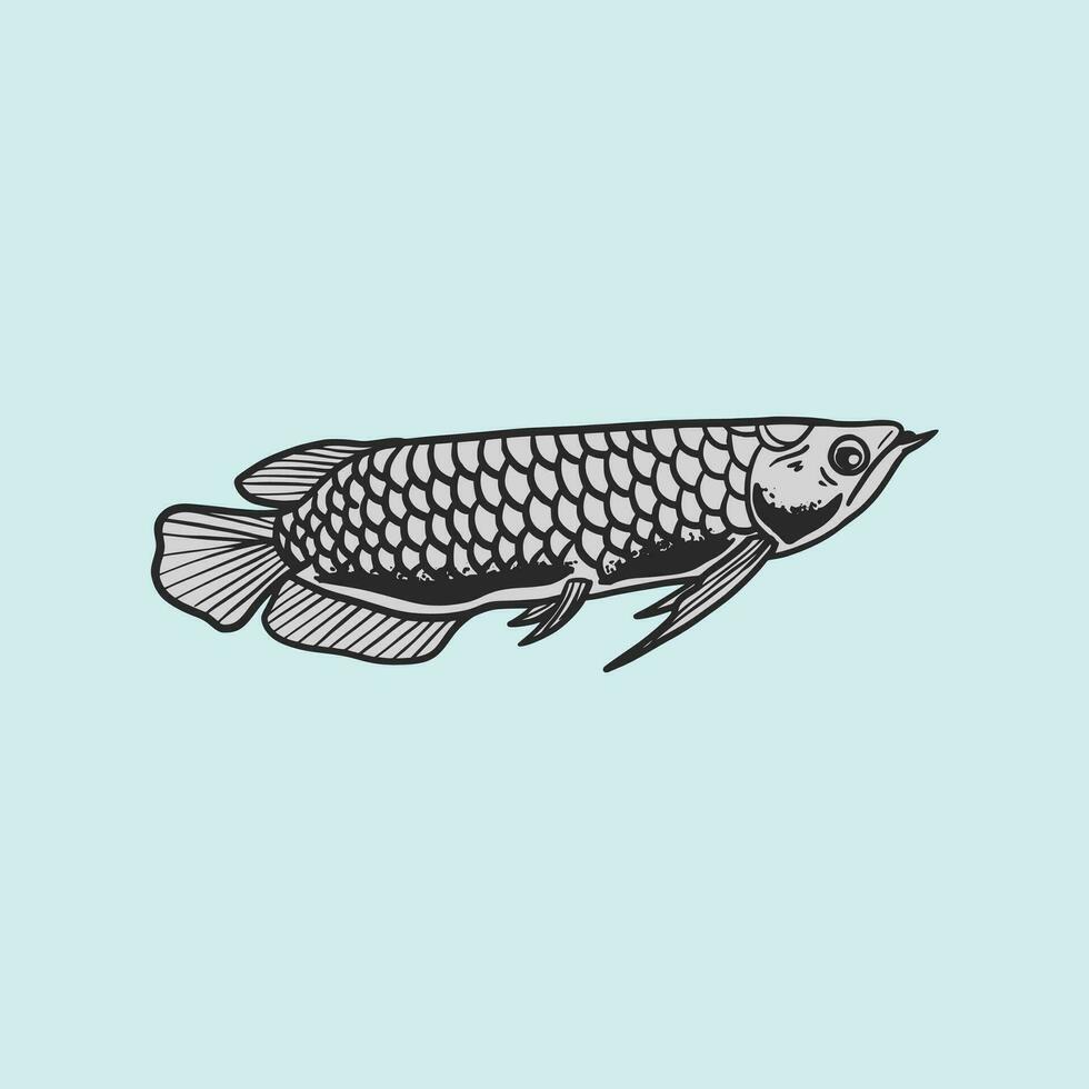 arowana fish hand drawn vector illustration