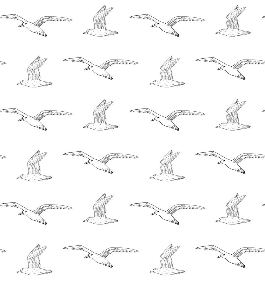 Vector seamless pattern of flying sea gull