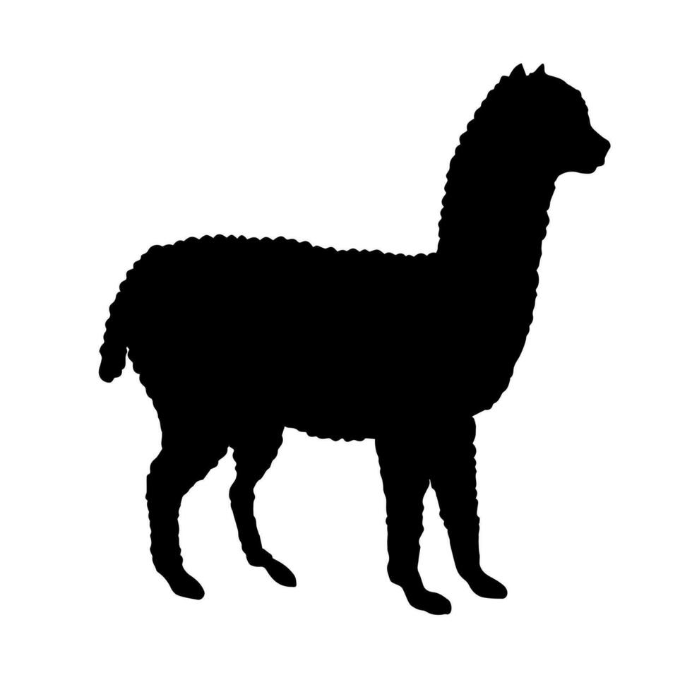 Vector flat black alpaca llama silhouette