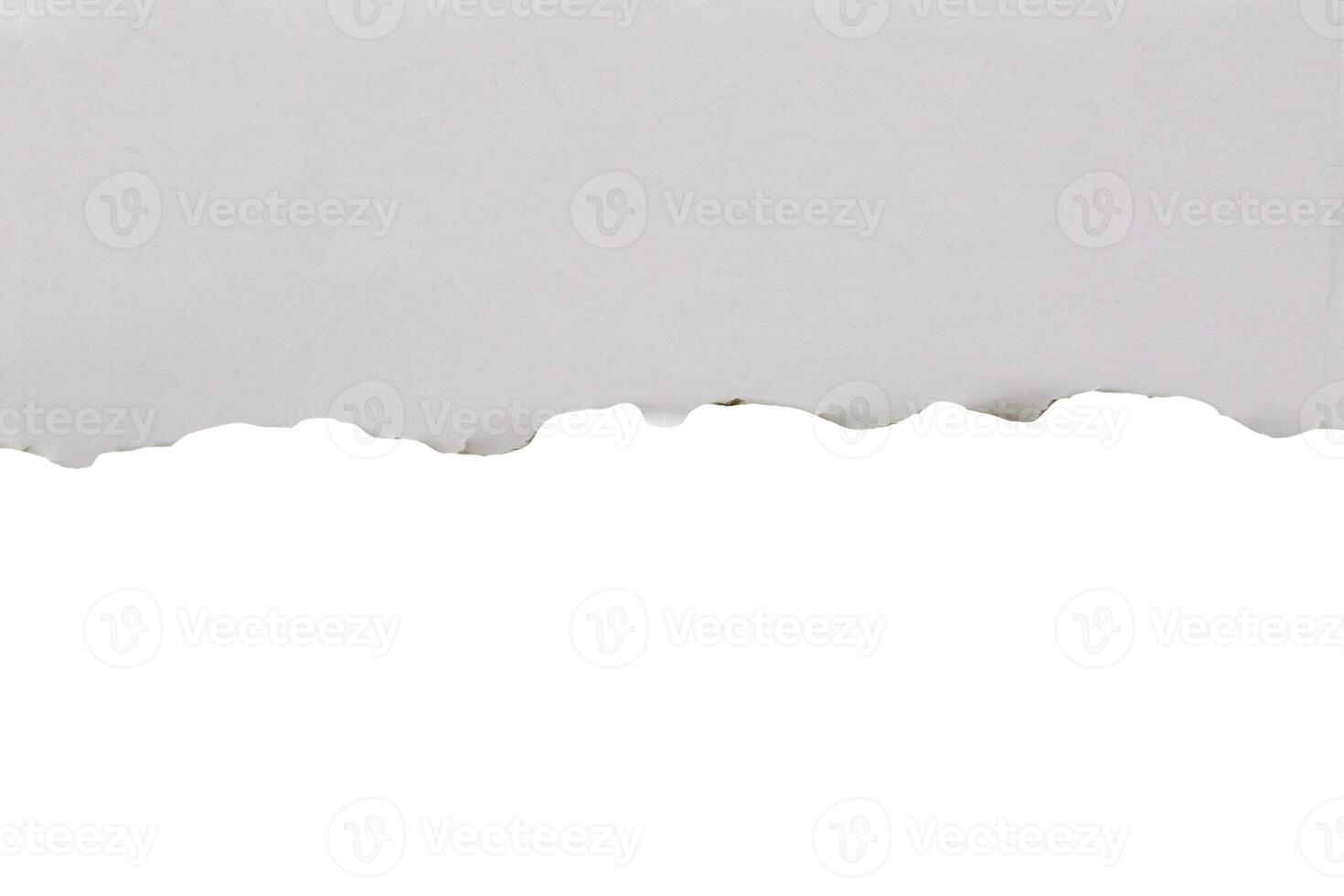 tiras de bordes rasgados de papel rasgado blanco aislado sobre fondo blanco foto