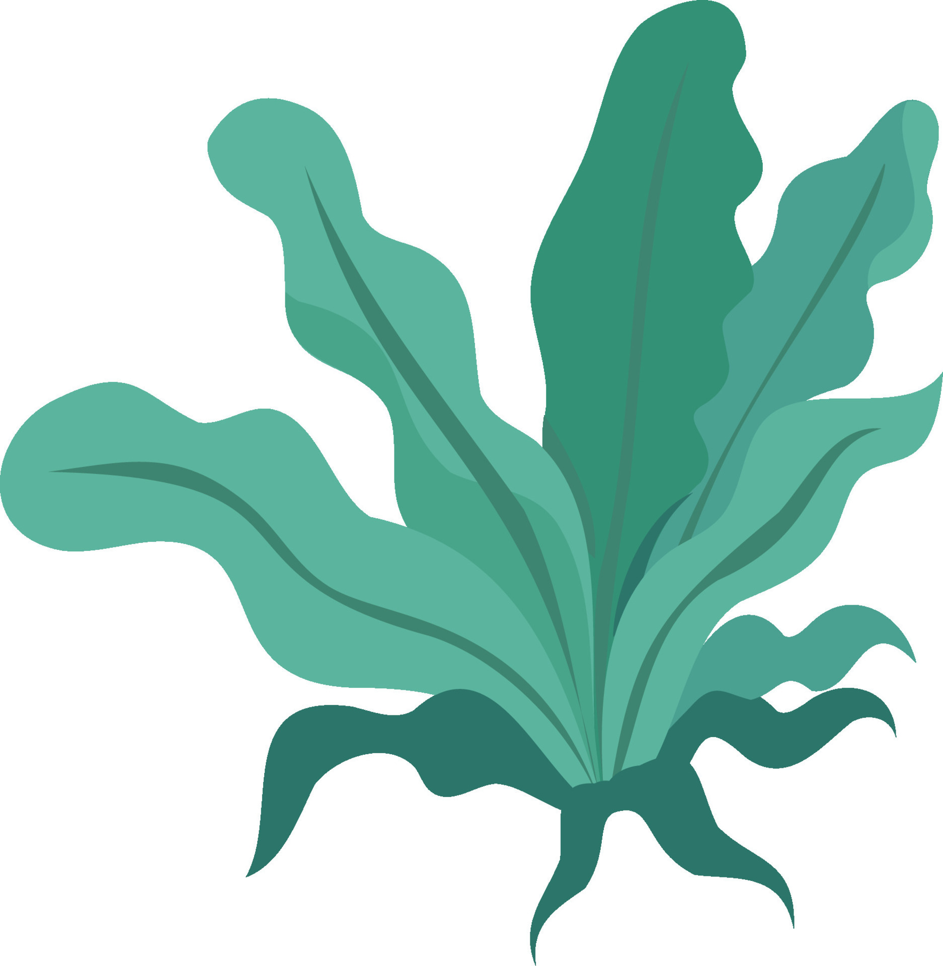 Stevia Leaf Collection free Vector 31706985 Vector Art at Vecteezy