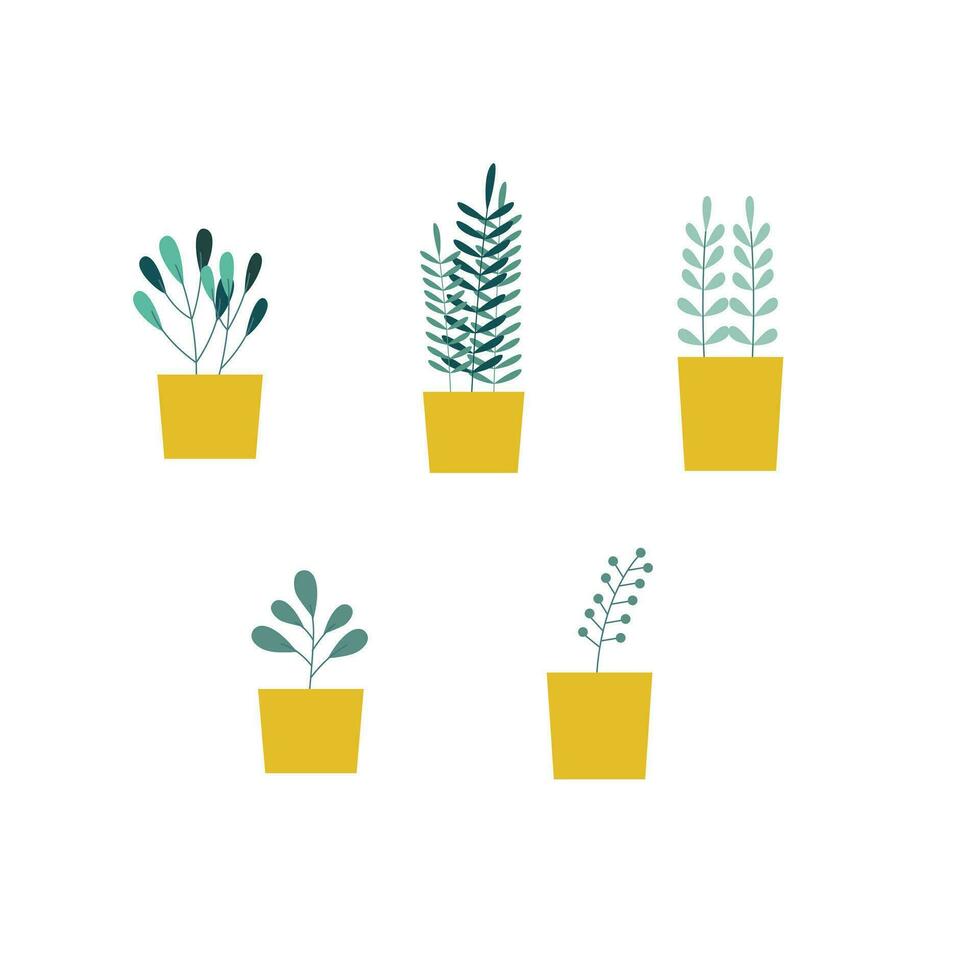 Set of home plants in pots, green plant in pots vector