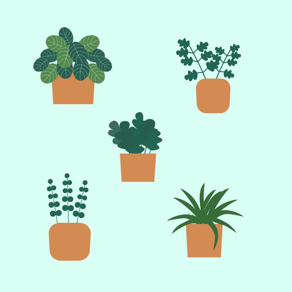 Set of home plants in pots, green plant in pots vector