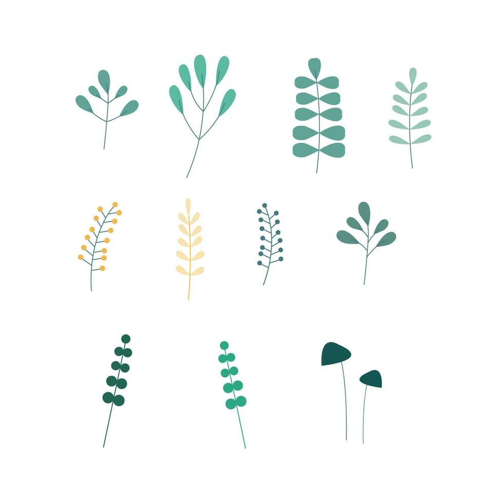 Leaves, trees, home plants vector