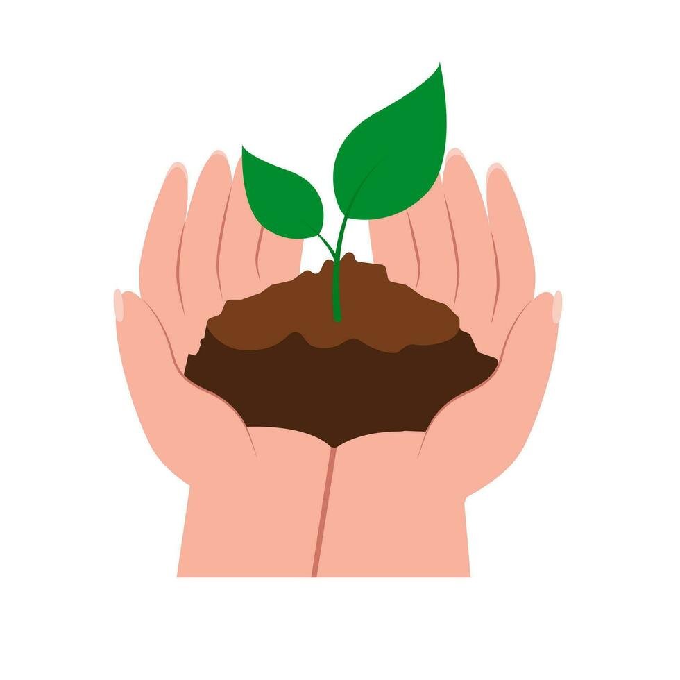 Hand holding young tree for planting. Save planet vector