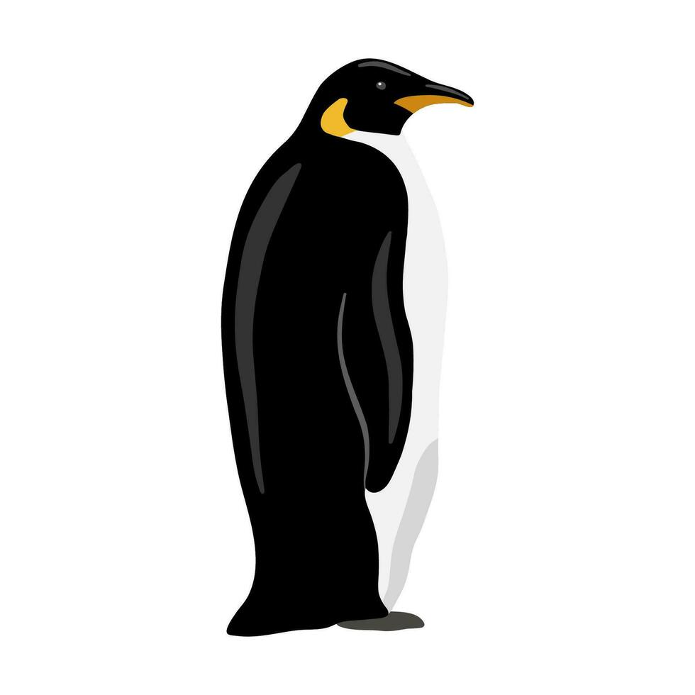 Rey pingüino. plano vector ilustración aislado en blanco. polar animal