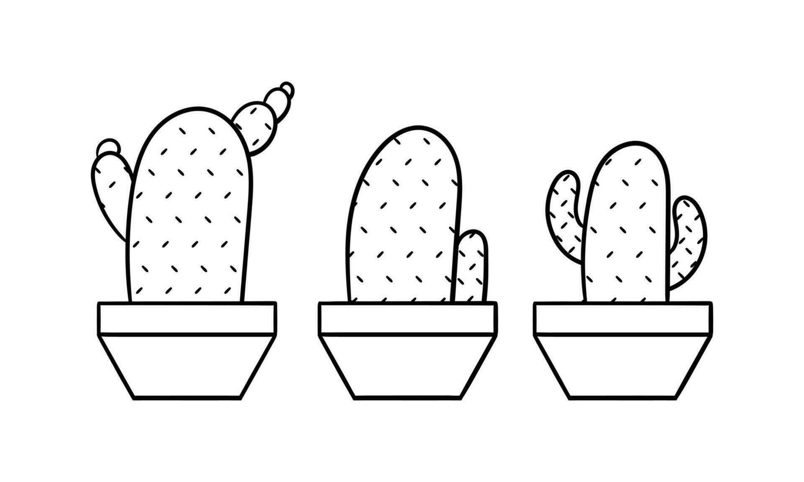 mano dibujado cactus ilustración con Tres diferente cactus formas2 vector