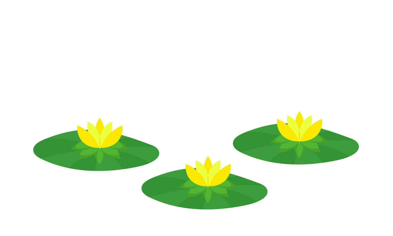 lotus and flower illustration vector