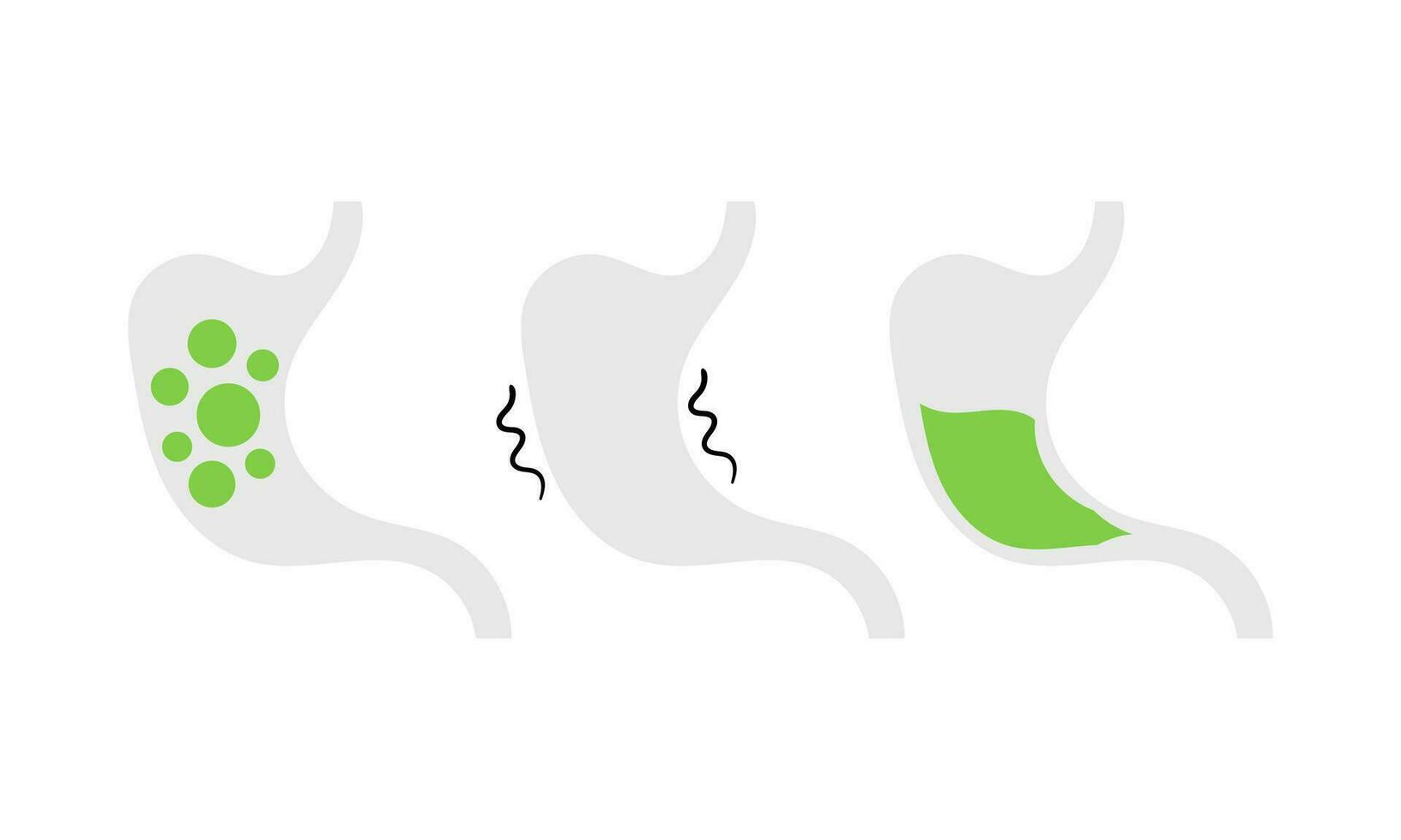 illustration of stomach and stomach disease vector