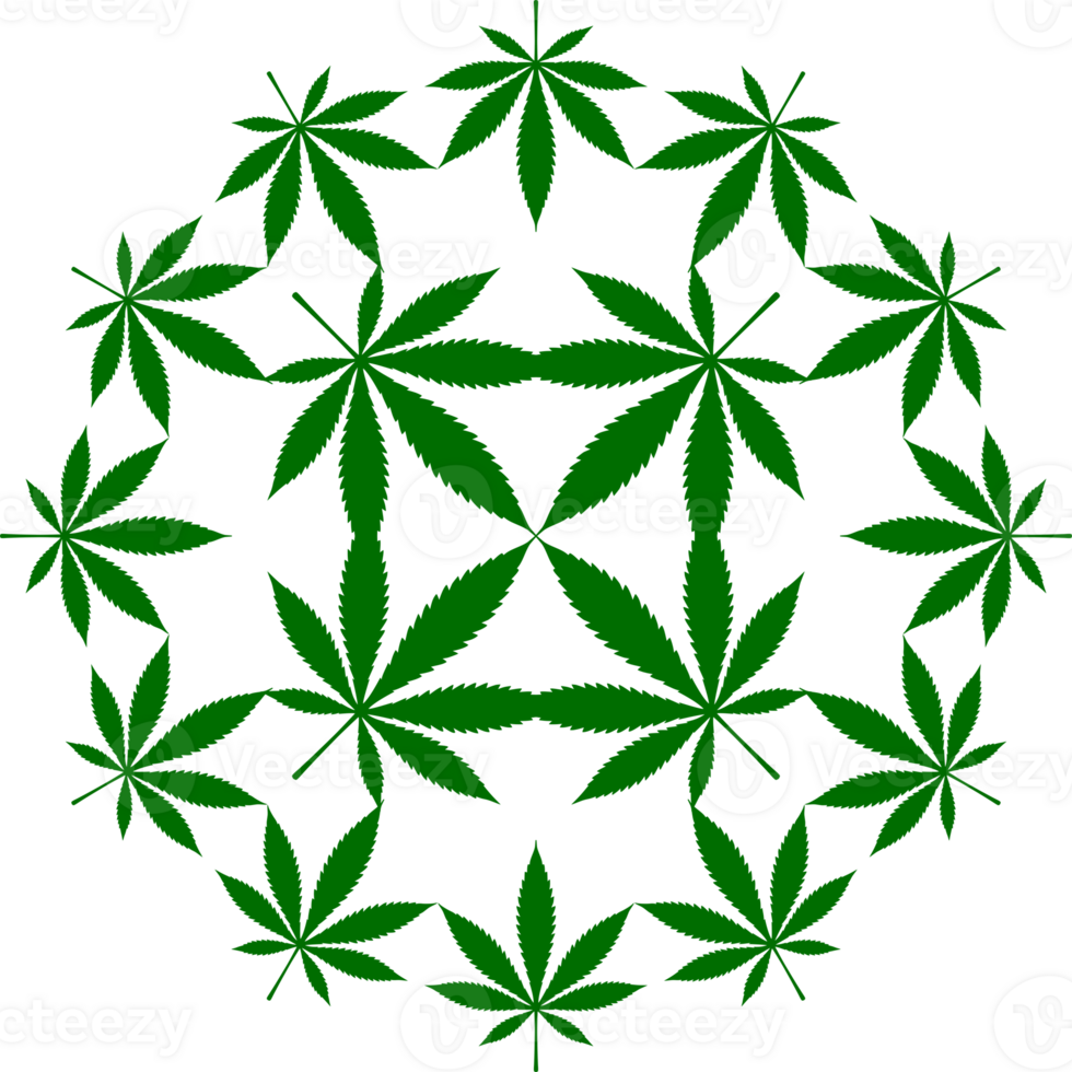 Cannabis ebenfalls bekannt wie Marihuana Pflanze Blatt Silhouette Kreis gestalten Komposition, können verwenden zum Dekoration, aufwendig, Hintergrund, Abdeckung, Kunst Illustration, Textil, Stoff, Mode, oder Grafik Design Element png